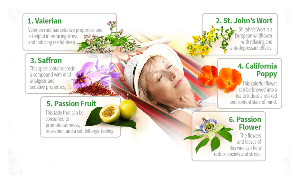 Herbs To Soothe Stress