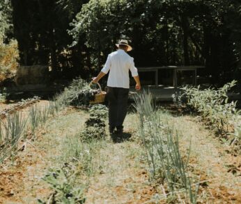 From Seed To Fork
