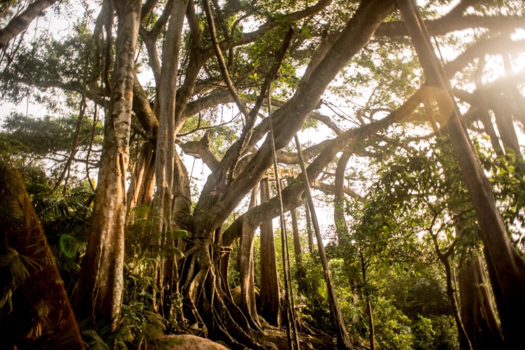 Enchanting Destination For Explorers