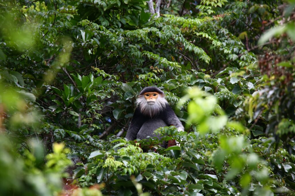 Enchanting Destination For Explorers