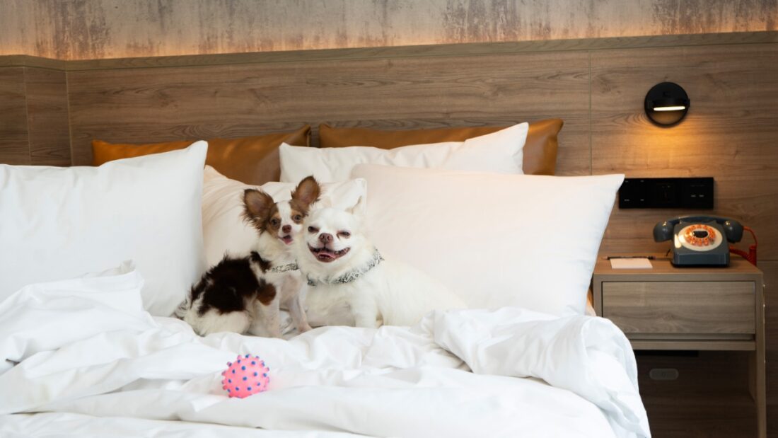 Pet-Friendly Stay Package