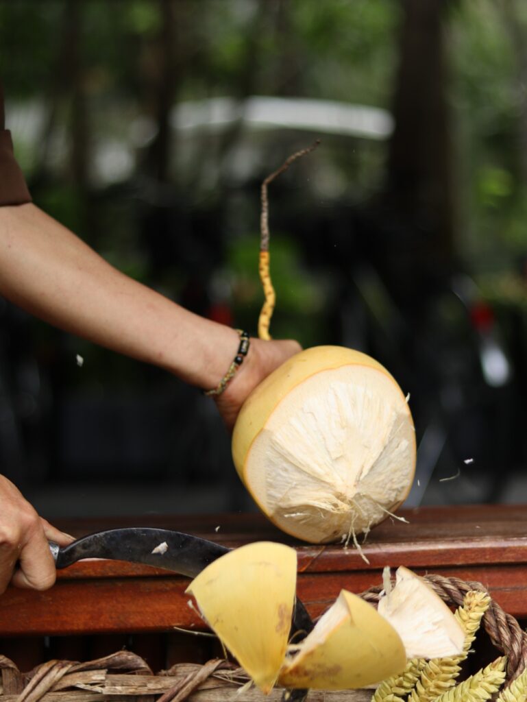 Weekly Coconut Harvesting Experience