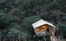 Eco-Wellness Lodge Experience