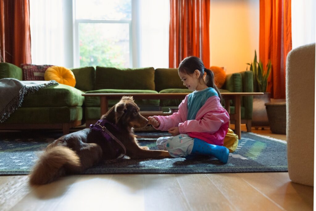 Airbnb’s Free Emergency Housing