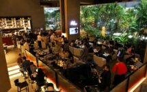Wine Play: Organic Elegance
