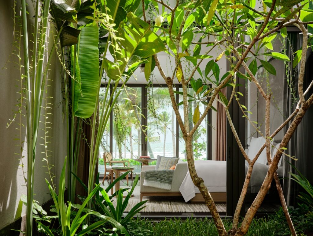 Where Renewal Meets Luxury