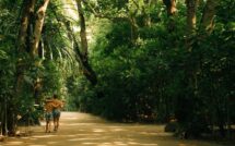 Mindful Approach To Luxury Hospitality