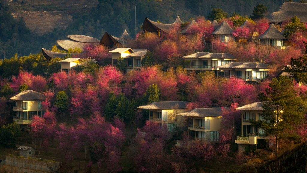 Vietnam For Every Season